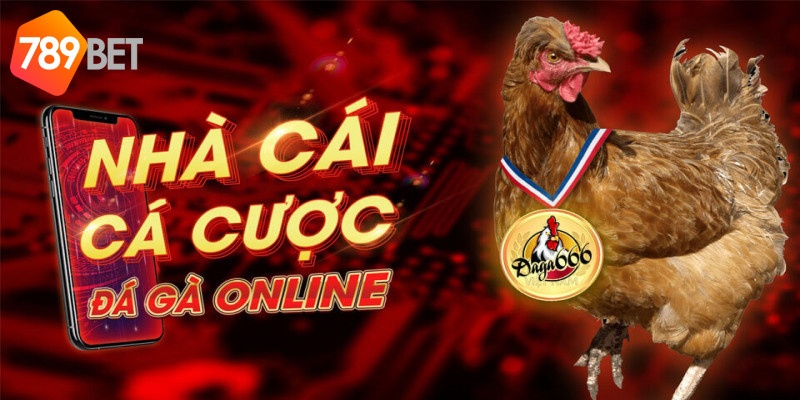 Đá Gà Trực Tiếp Online